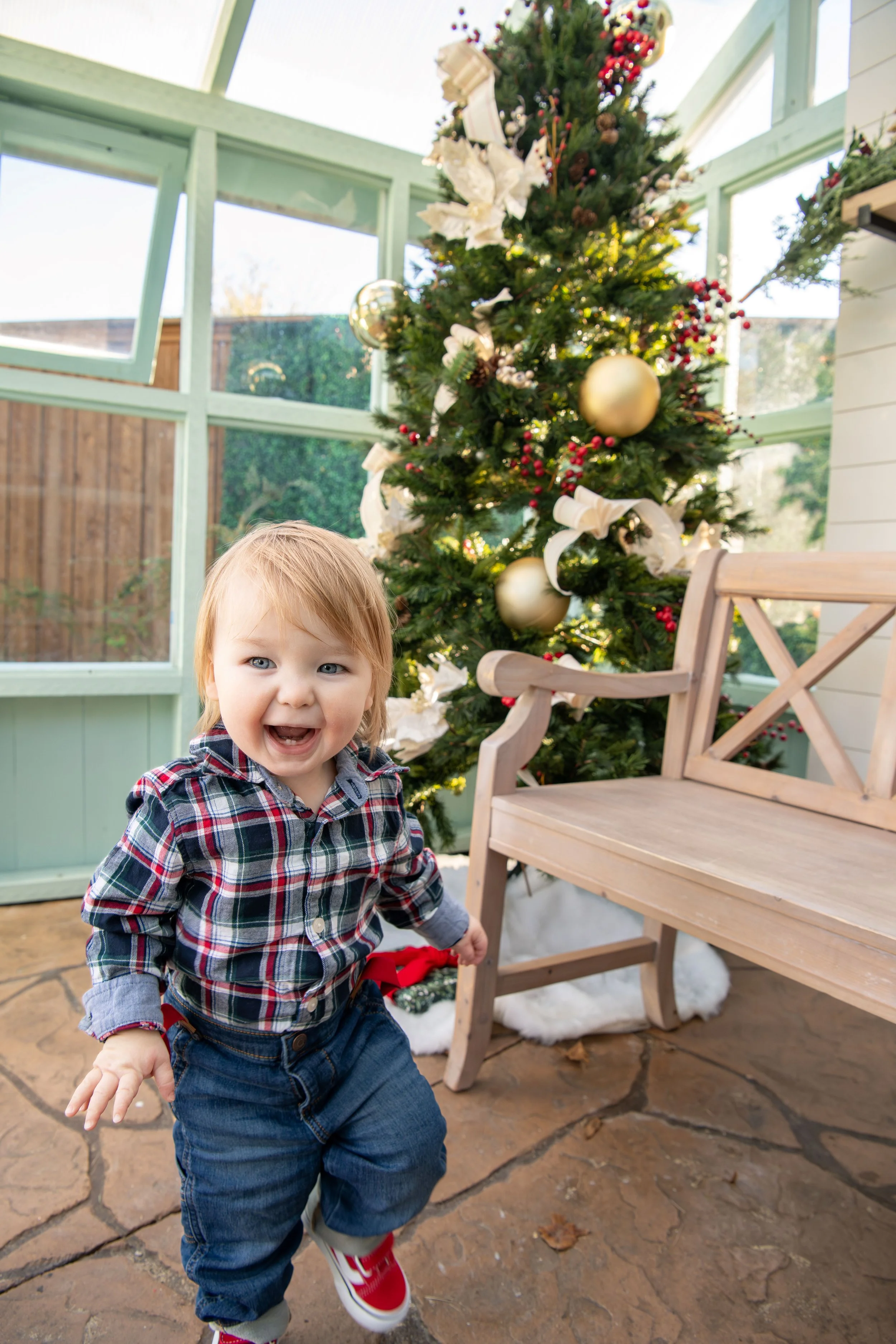 xmas-7.jpg