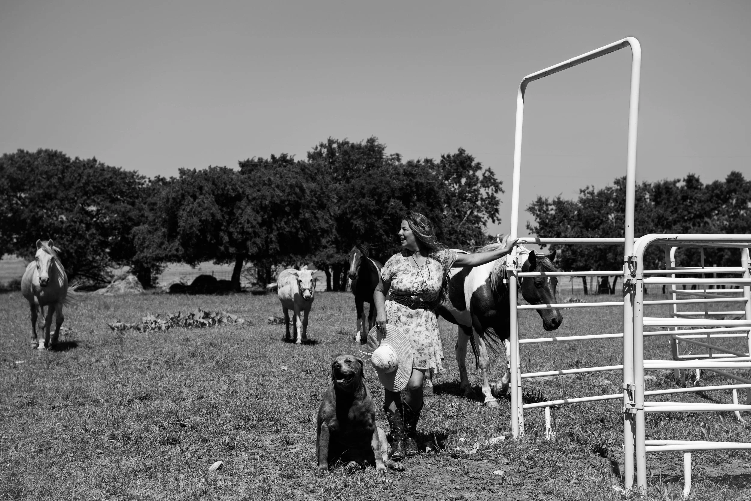 Sunshines Farm-25.jpg