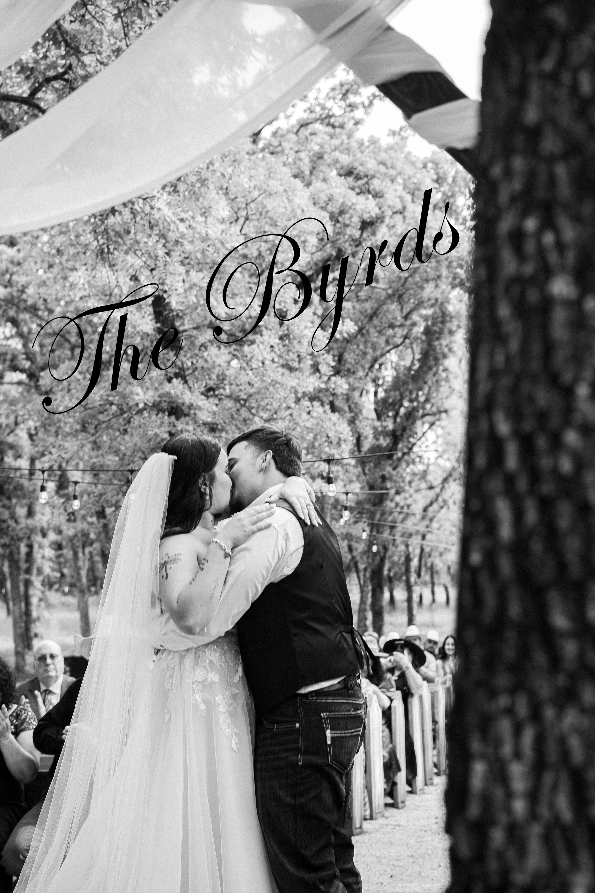 A black-and-white photo of a bride and groom sharing a kiss outdoors, with wedding guests in the background, trees, and string lights.