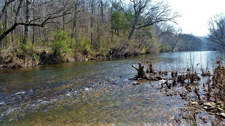 A site on the Conasauga River (Polk County, TN) where the Coosa Moccasinshell is still found (credit: Paul Johnson, ADCNR)