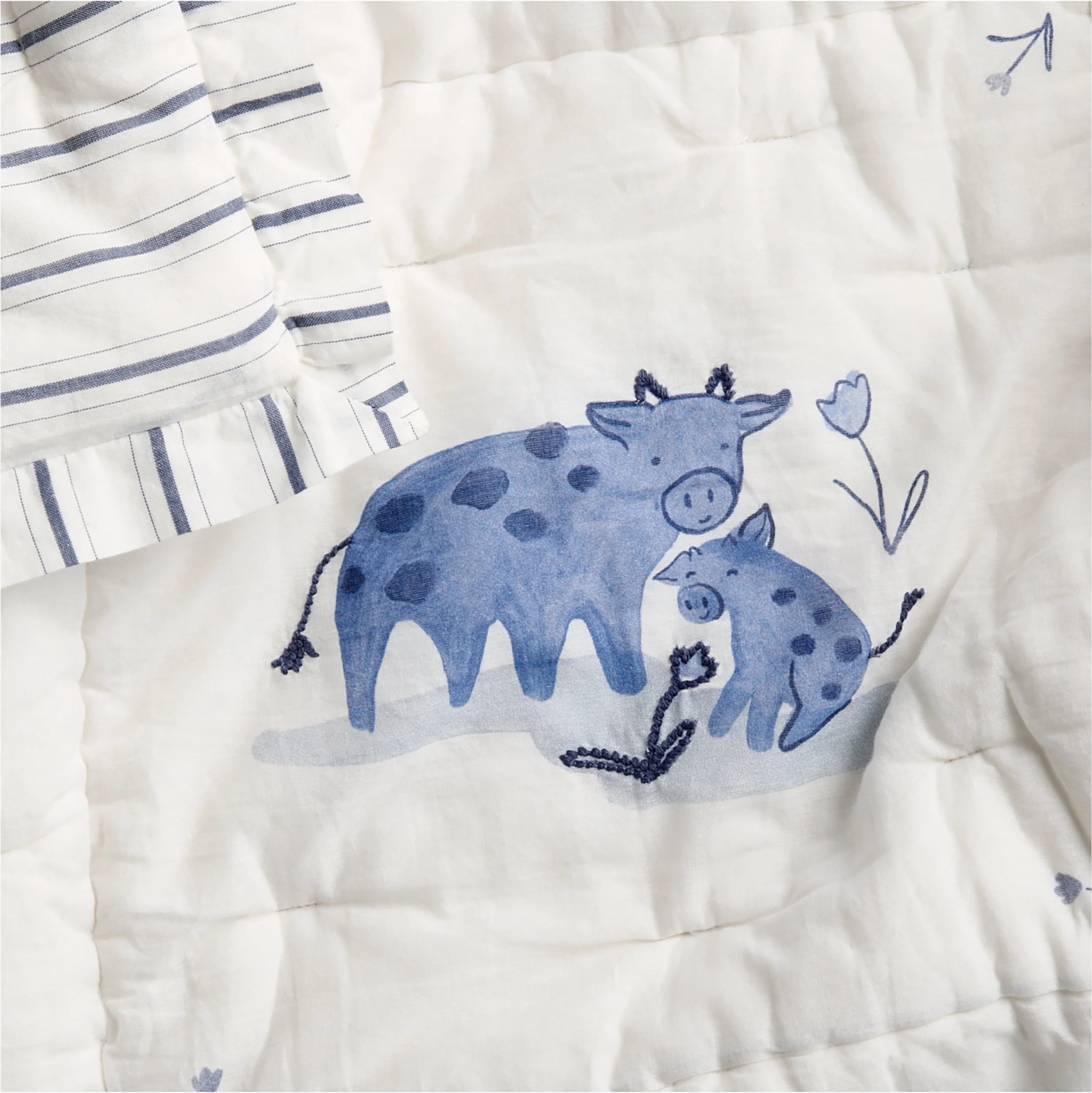 PaintedPstCtnVlBbCrbQltAVSSF25 (2).jpeg