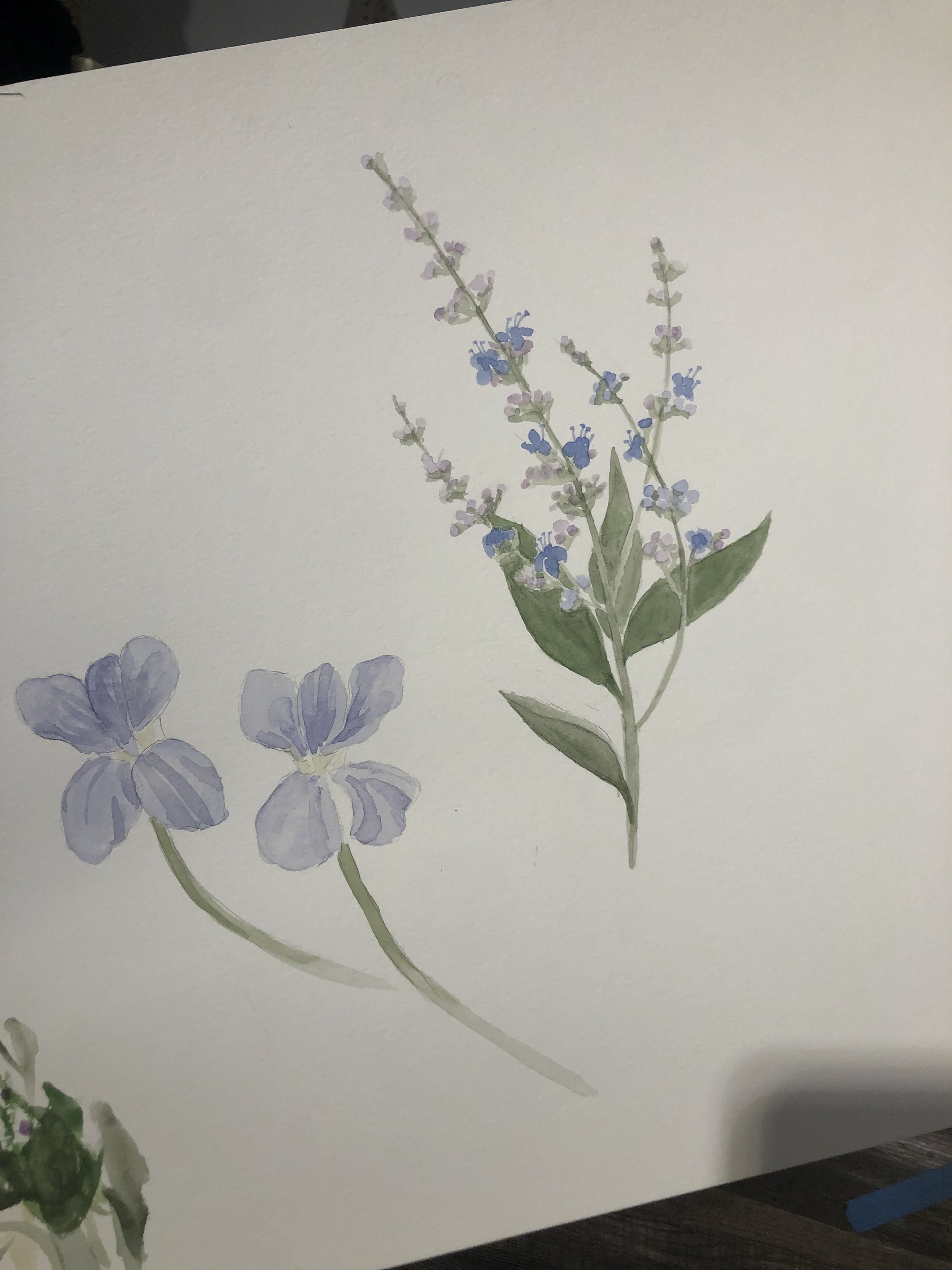 IMG_0237.jpeg