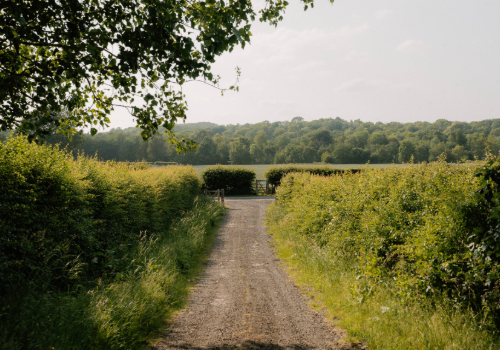 North Yorkshire countryside