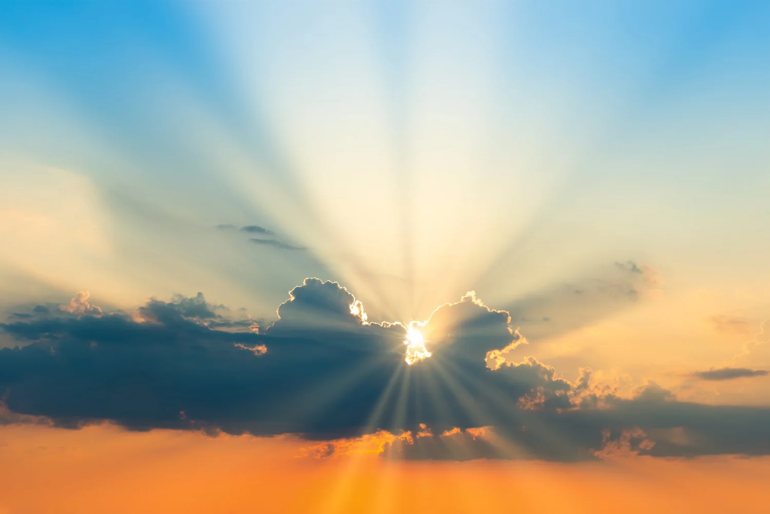Sunlight Program Mission — The American Sunlight Project