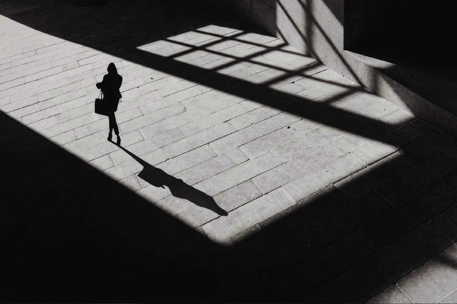 Shadow Work in Grants — Jezreel Consulting