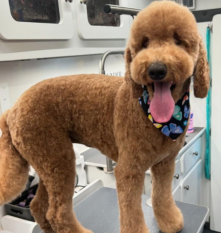 Screen Shot 2024-09-09 at 5.58.20 PM.png