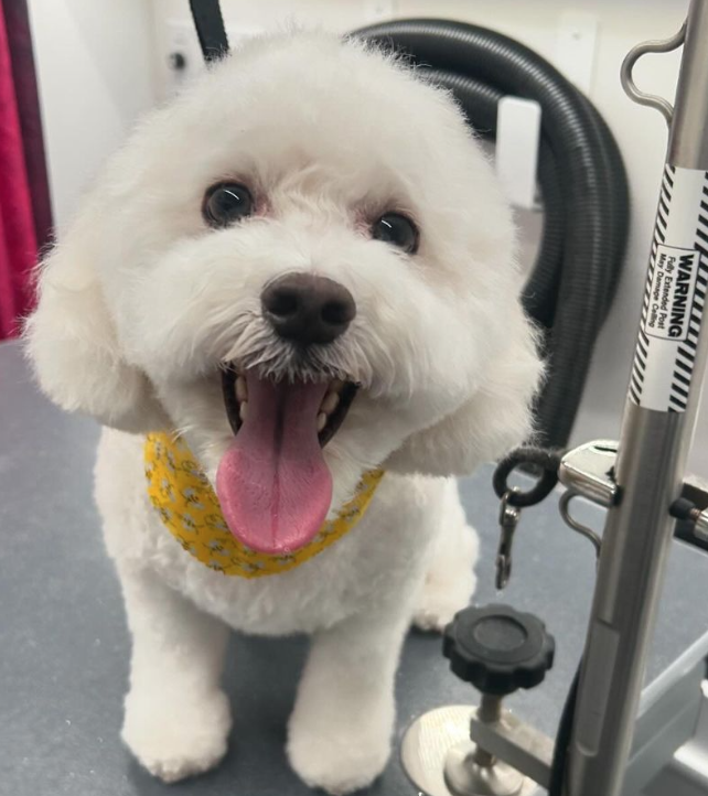 Screen Shot 2024-09-09 at 6.00.21 PM.png