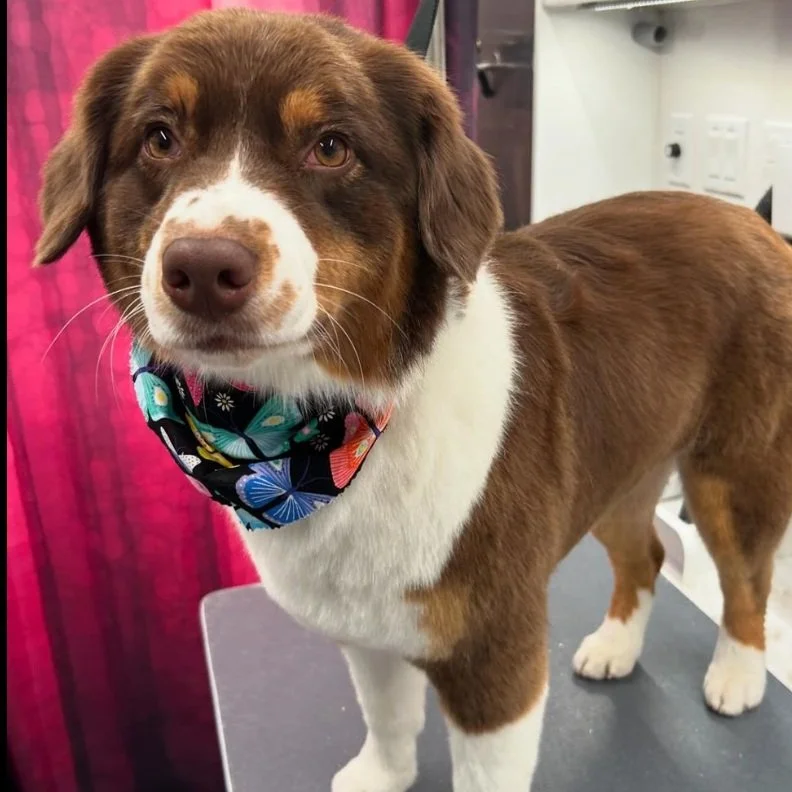 Screen Shot 2024-09-09 at 6.01.15 PM.jpg