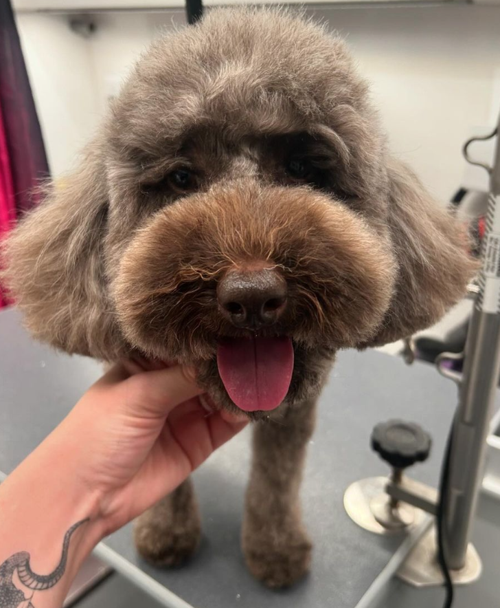 Screen Shot 2024-09-09 at 6.00.29 PM.png