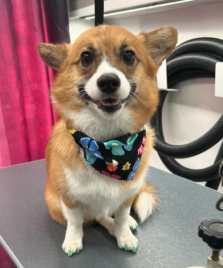 Screen Shot 2024-09-09 at 6.01.42 PM.png