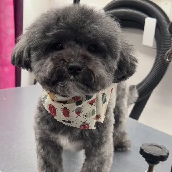 Screen Shot 2024-09-09 at 5.58.51 PM.jpg