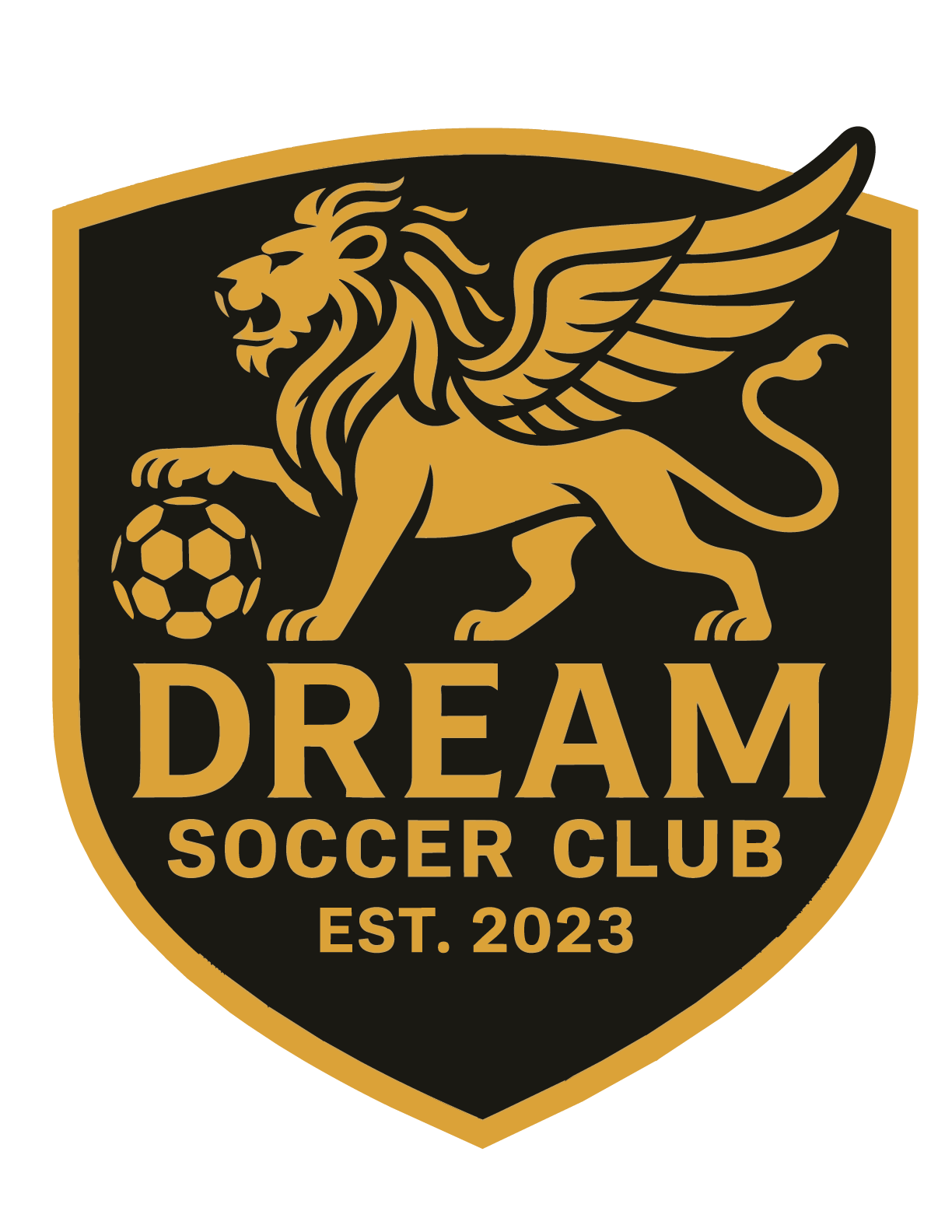 Dream Soccer Club