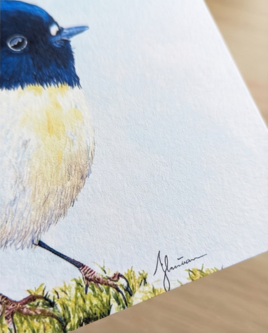 Tomtit greeting card nz souvenir