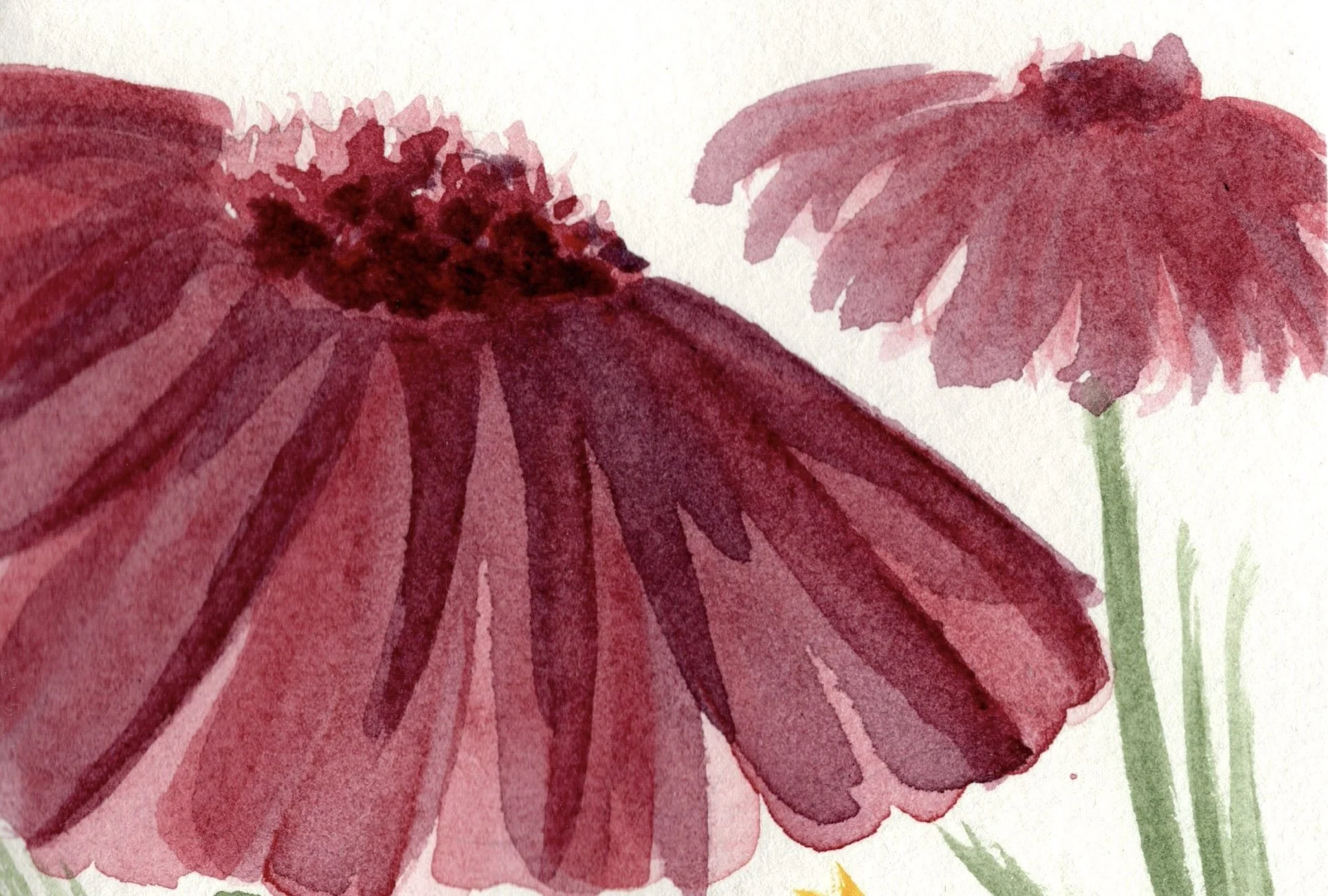 Water colour painting greeting card nz souvenir.jpeg