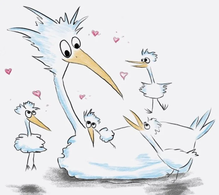Bird illustration happy Father’s Day happy Mother’s Day greeting card nz souvenir.jpeg