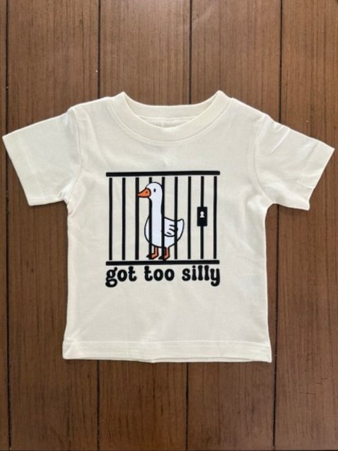 Silly+Goose_1.jpg