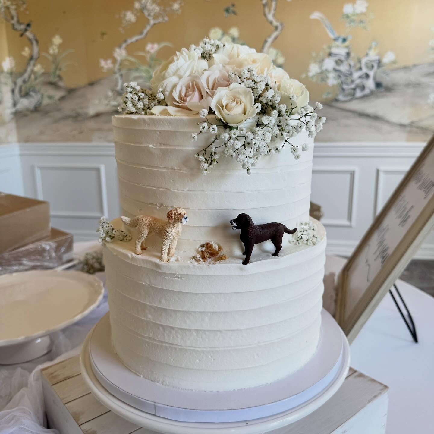 A beautiful white wedding last month. Congrats again to @stephloweburke and @svburkek21!

I especially loved the doggies snagging a piece of the cake!! 

#mansionatcolovistawedding #mansionatcolovista #springwedding #texasweddings