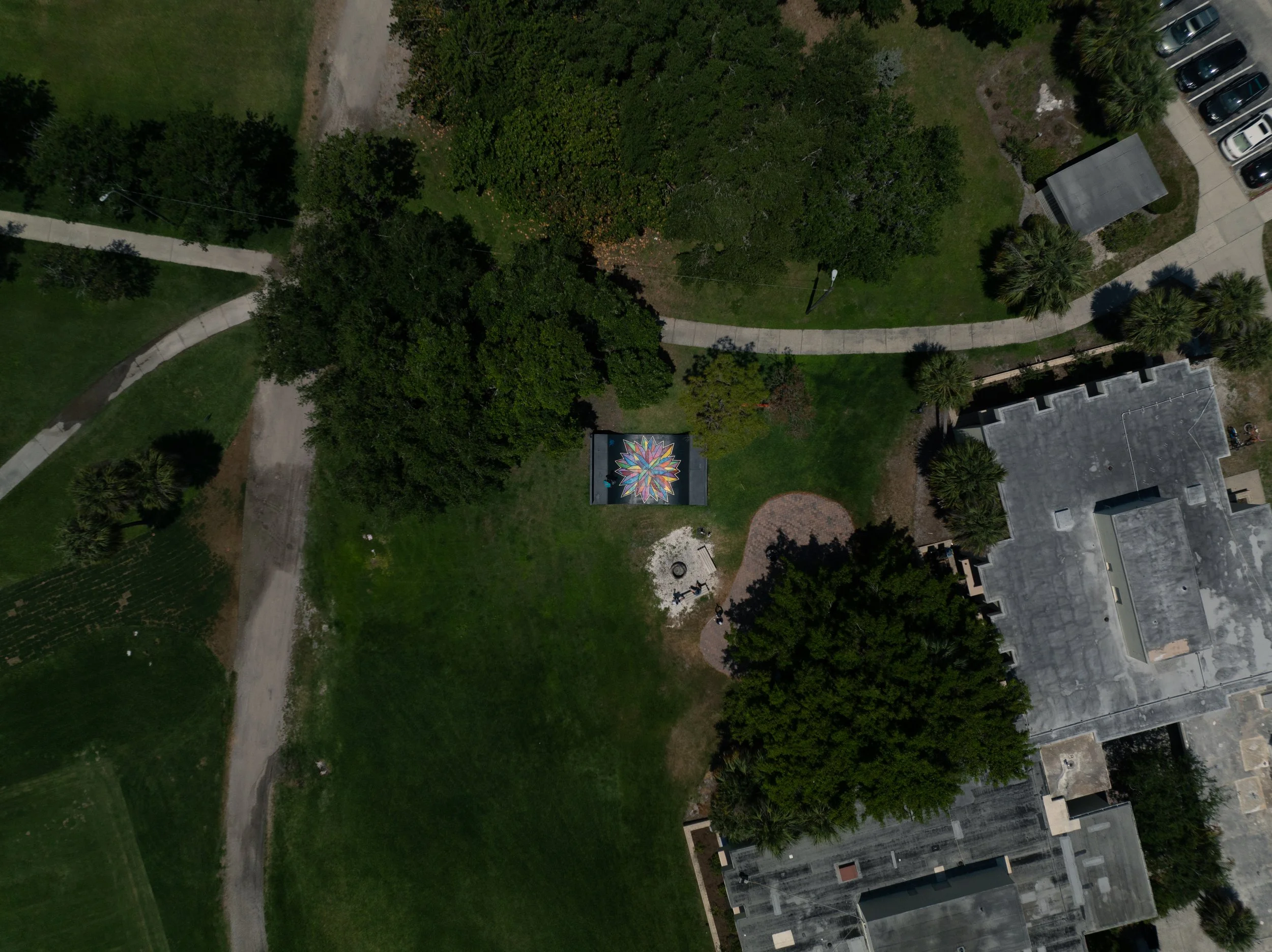 Dante Skate Ramp (2 of 3).jpg