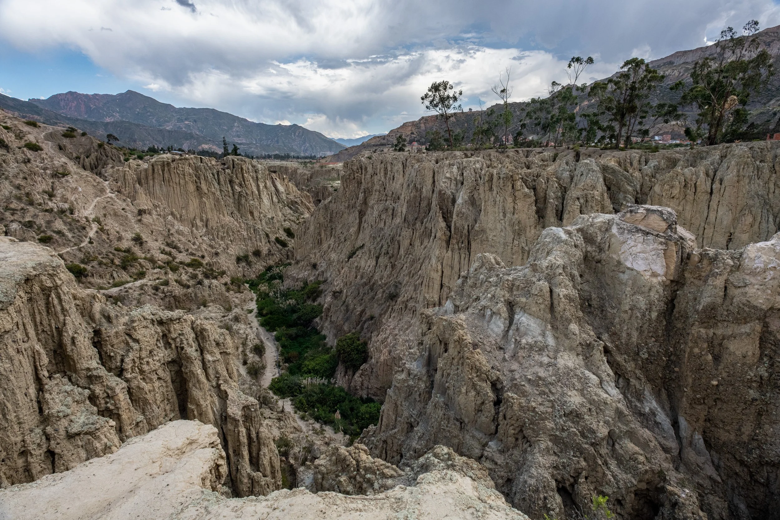 Bednar-20230302-0221.jpg