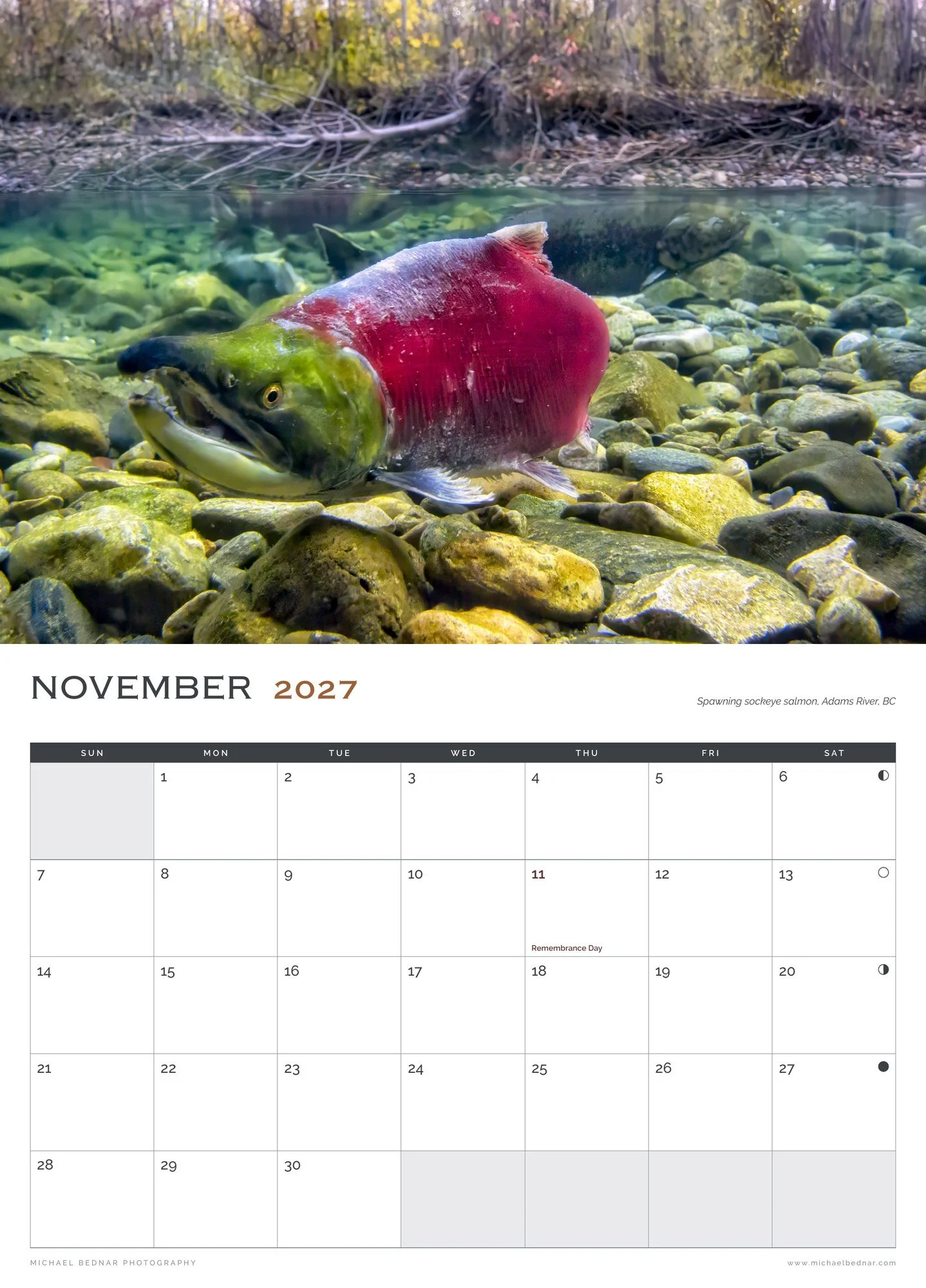 MBP_2027_Calendar_11_November.jpg