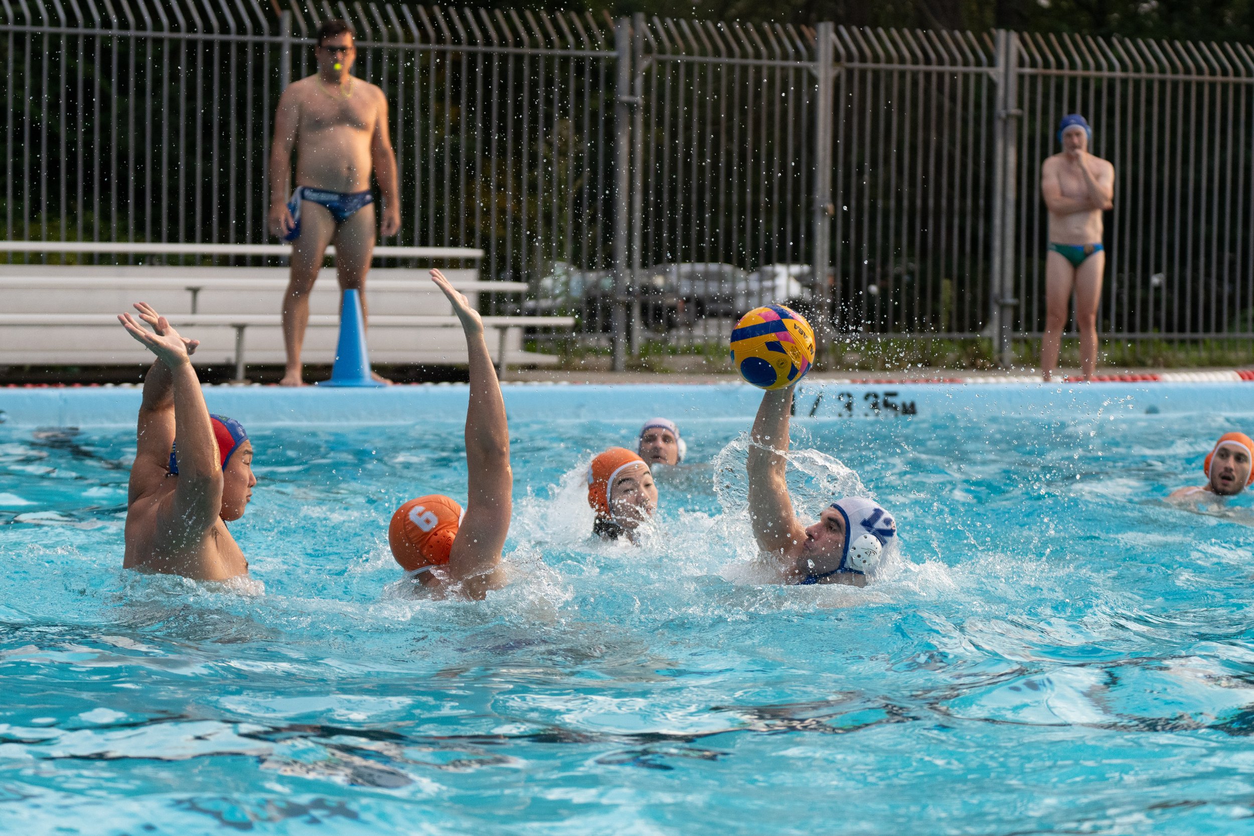 DSC02174.jpg