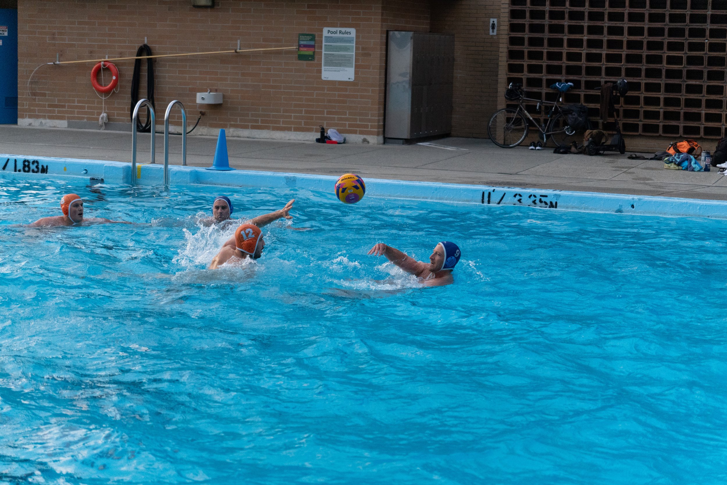 DSC02304.jpg