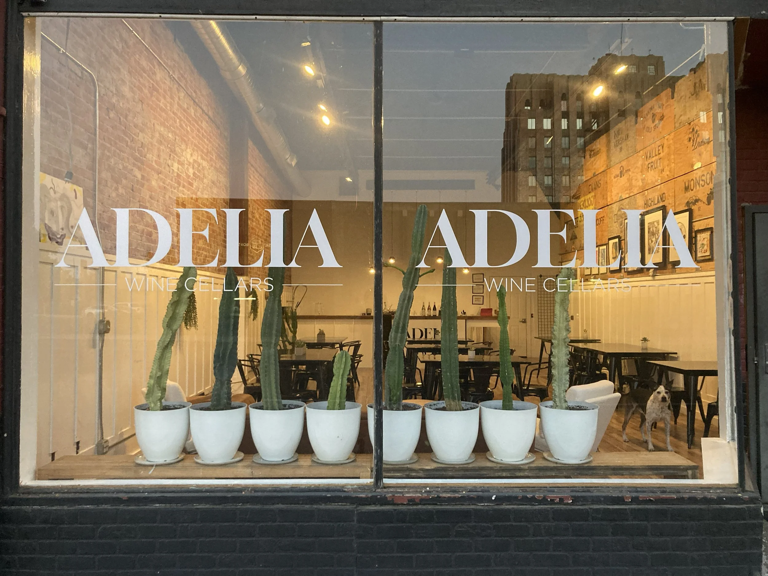 New Portfolio Item — GARRETT DOLL GRAPHIC DESIGN