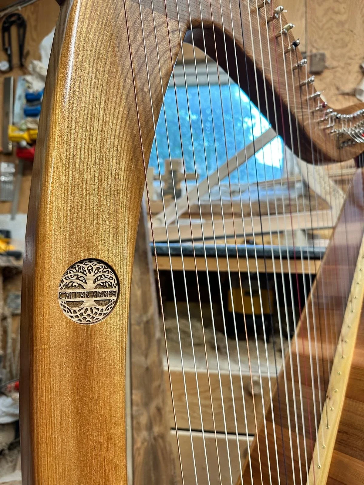 PC - Erica Mckay 2.JPG