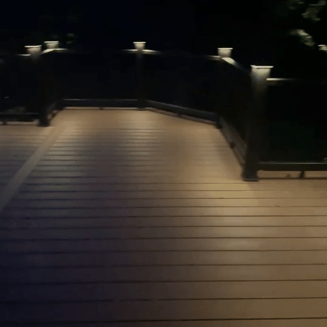 Adobe Express 2024-04-14 15.42.09.gif