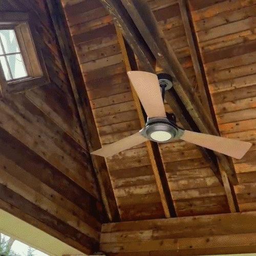 Adobe Express 2024-04-14 15.29.58.gif