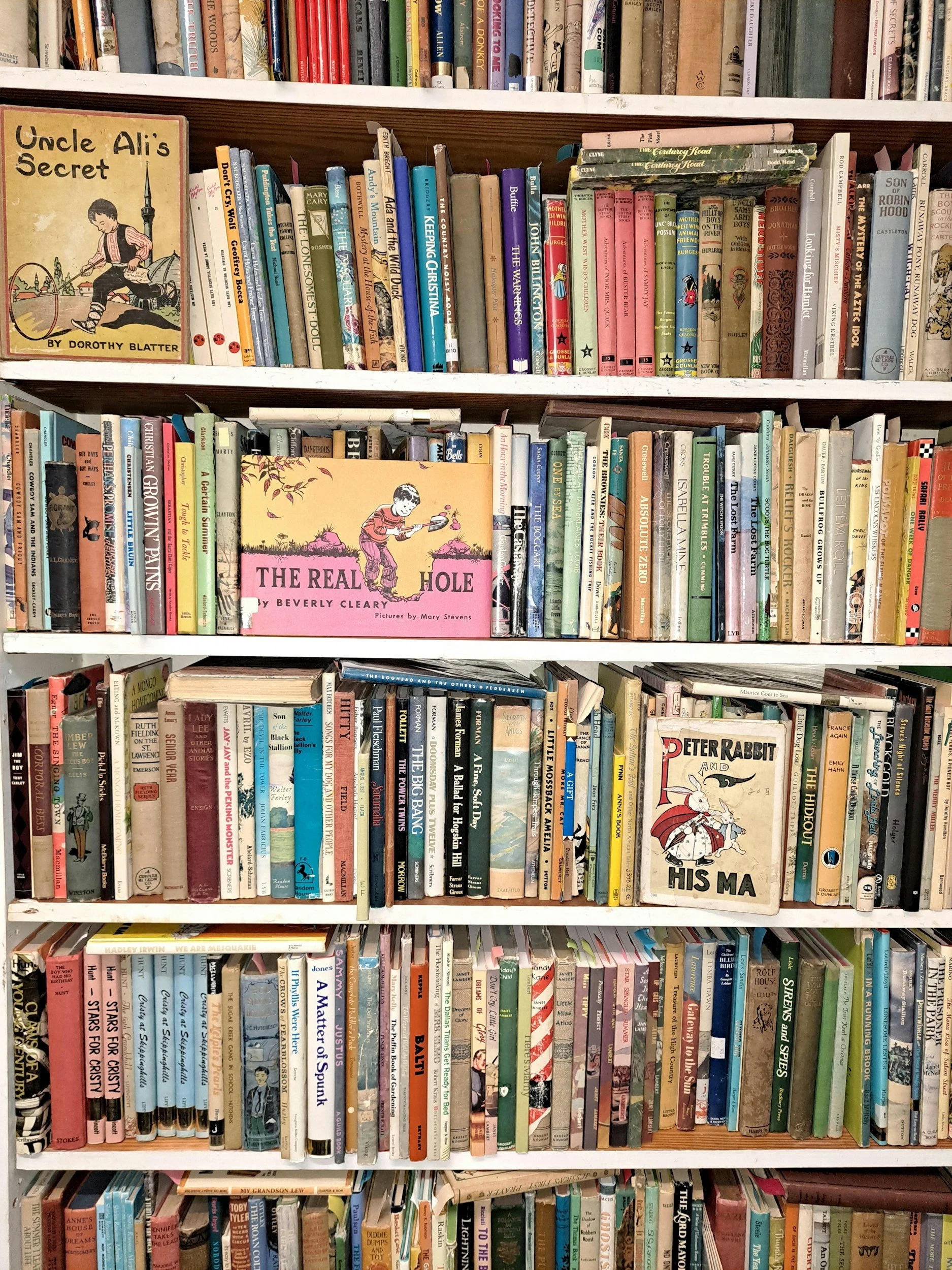 A Sampling of Picture Books We Read Together this Year…