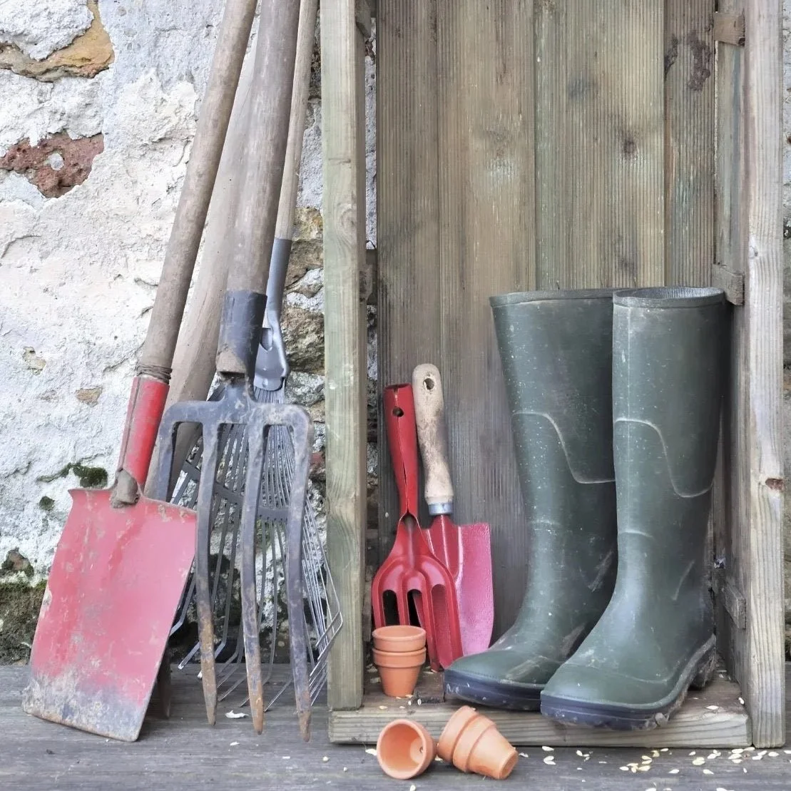 A ‘no maintenance’ garden doesn’t exist…sorry