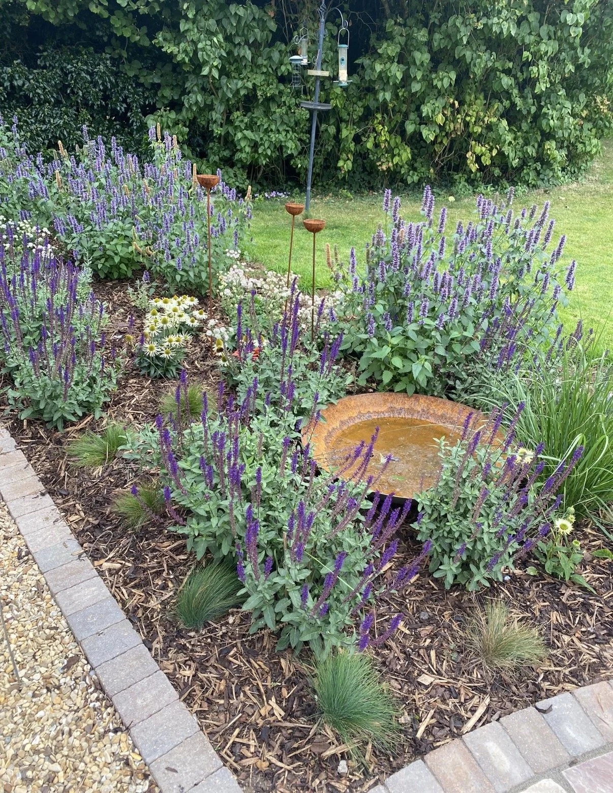 A wildlife haven to view from the window, come rain or shine