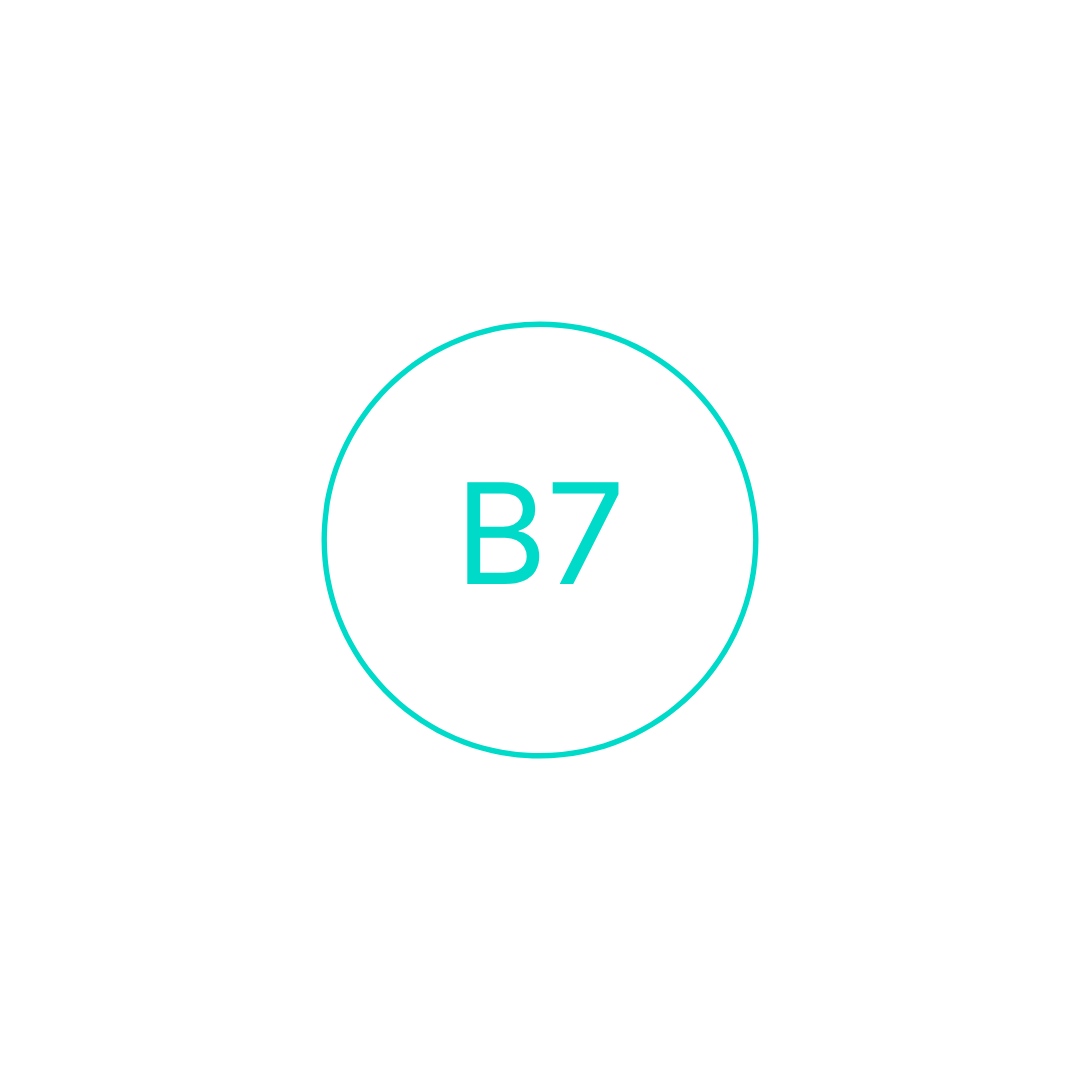B7 Icon