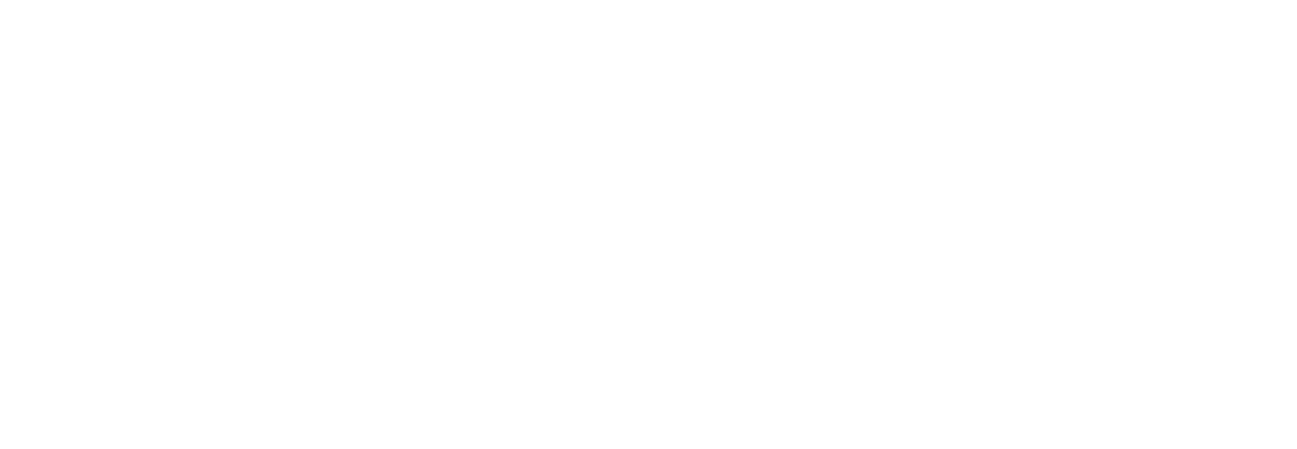 FCI Flavors logo