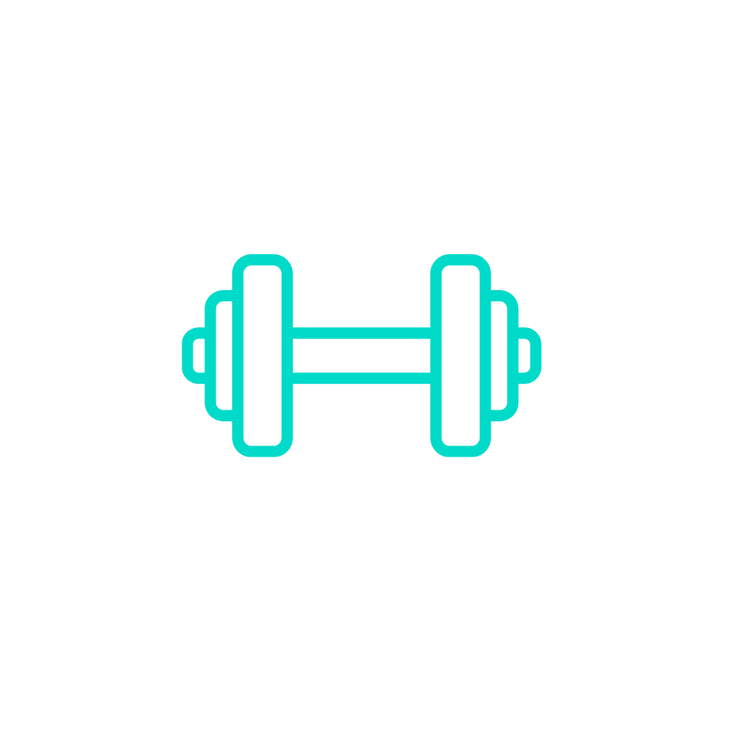 Dumbbell icon