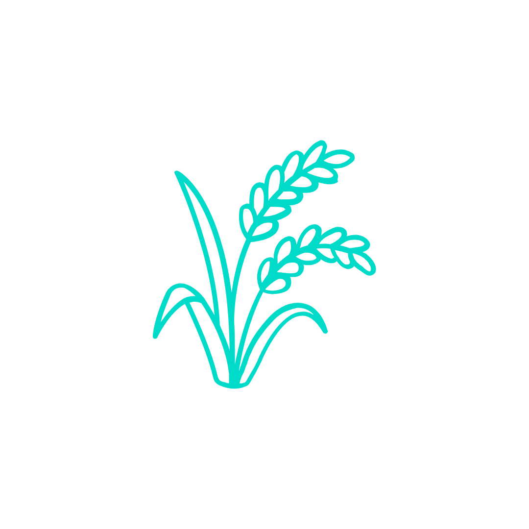 Rice icon