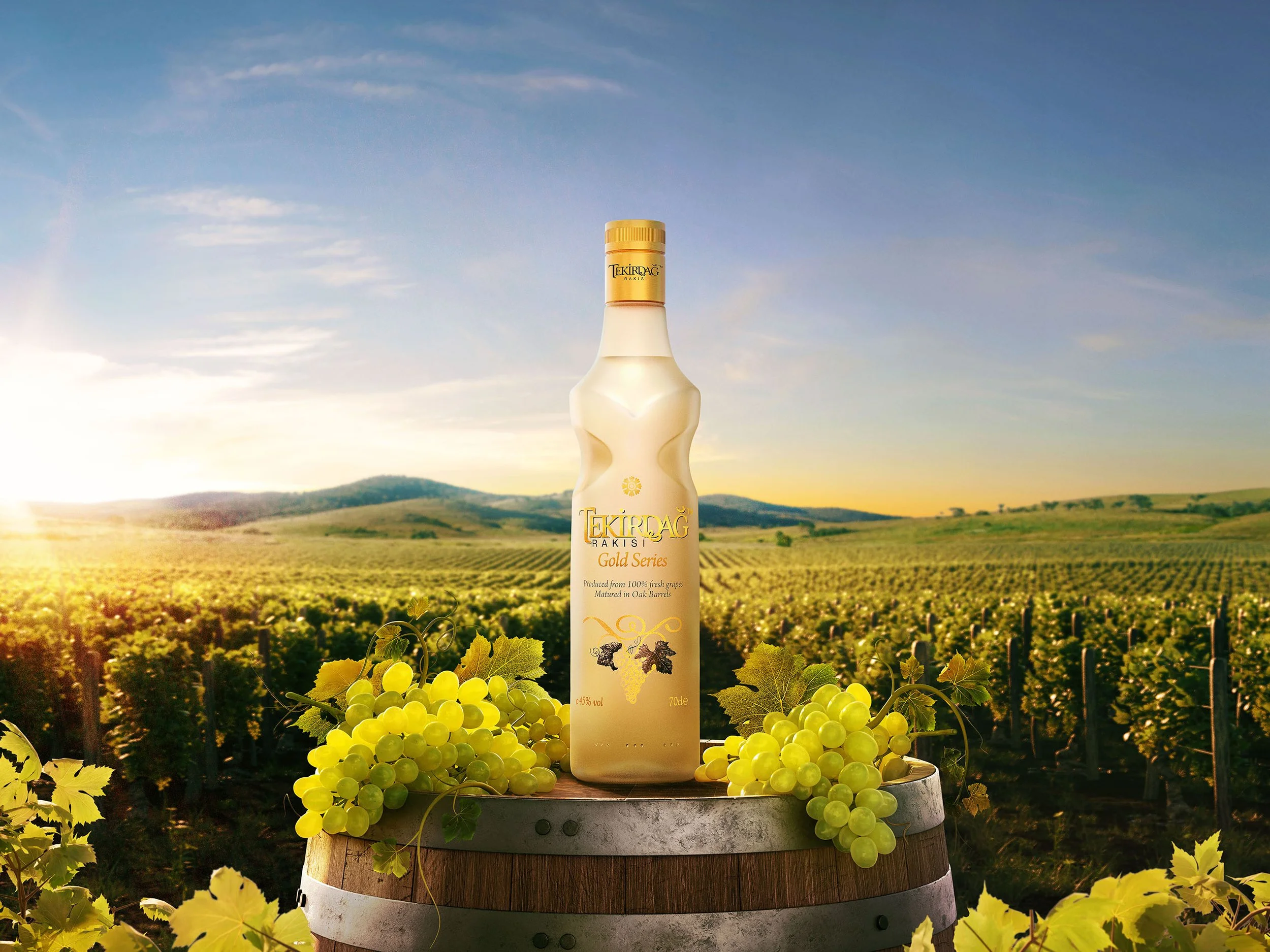 0223 TEKIRDAG RAKI 02 TESLIM.jpg