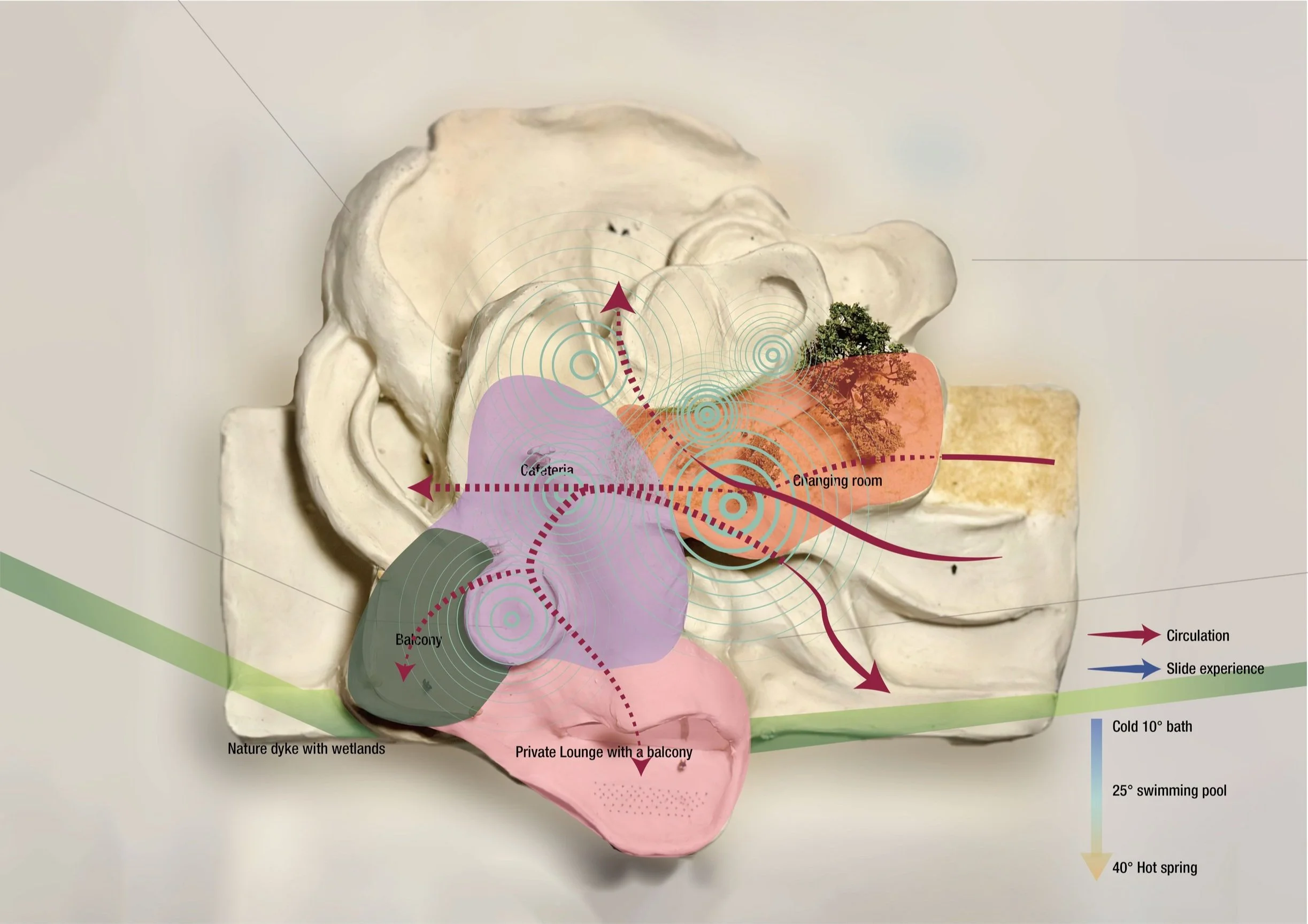 Circulation