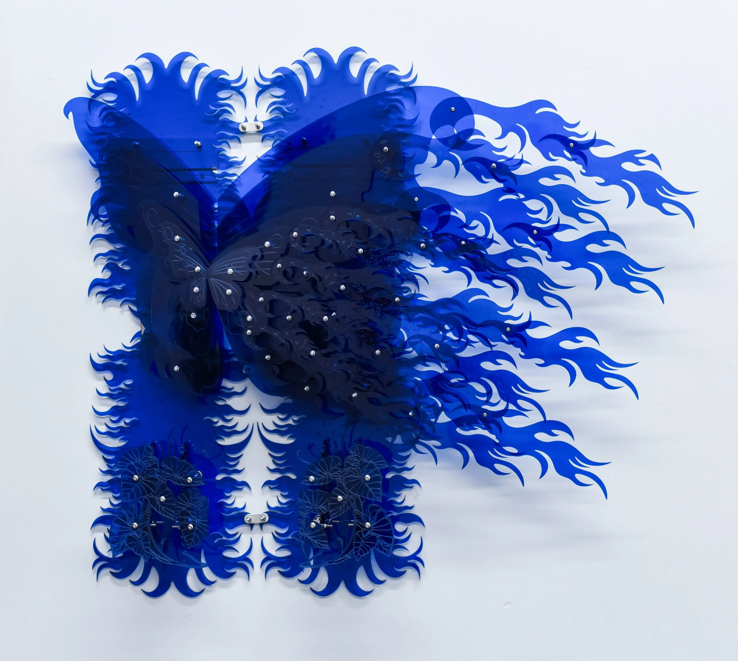 Arthropod 8 front.jpg