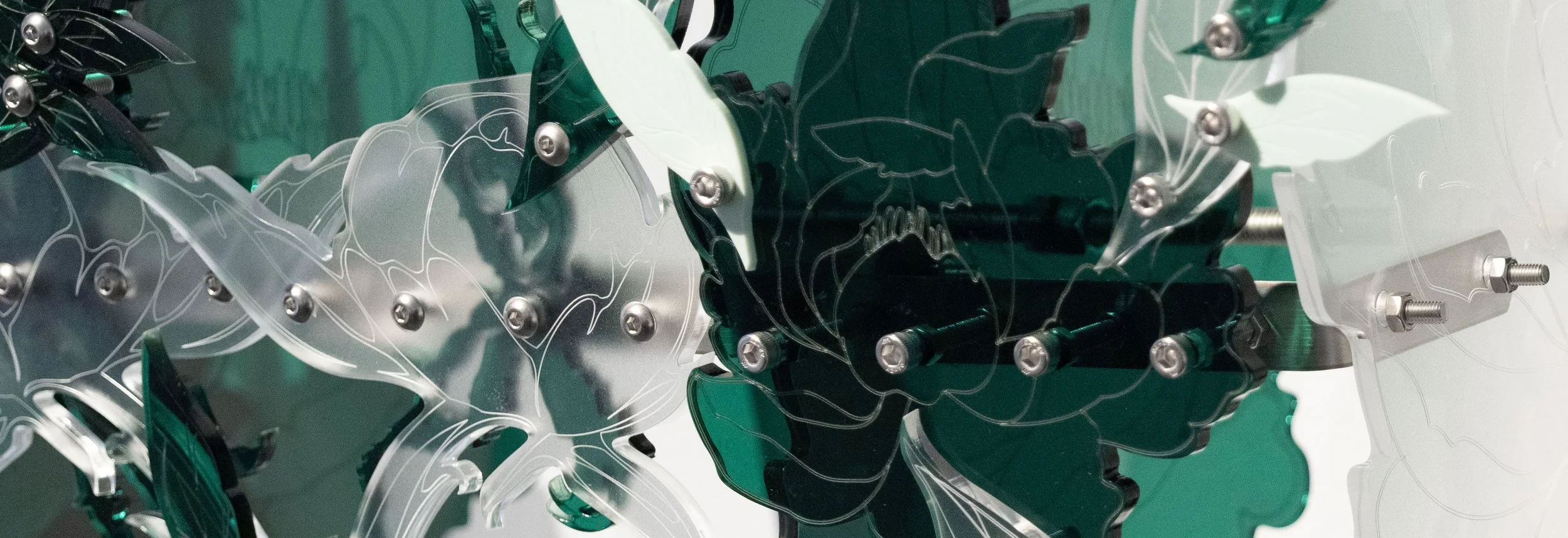 Flora 8 detail.jpg