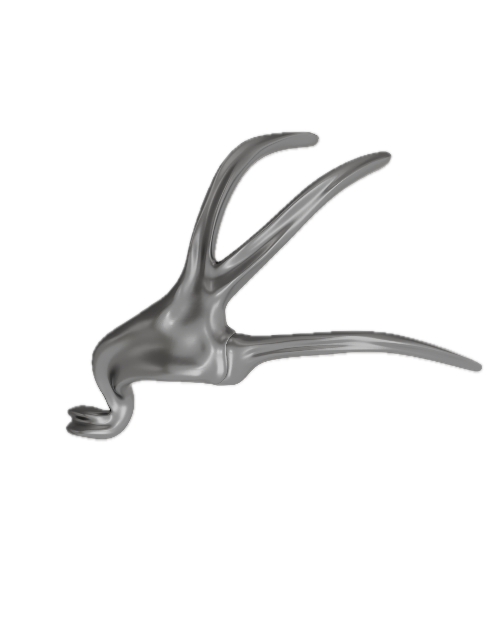26 Background Removed.png