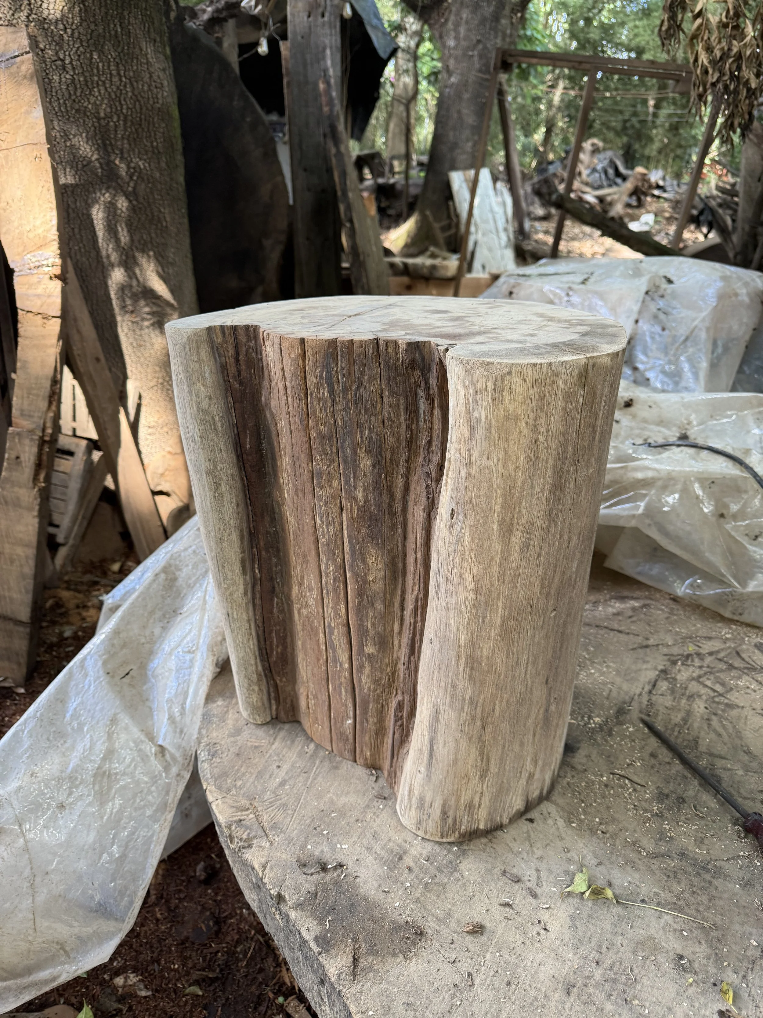 Wood Workshop with @ZiricoteMx