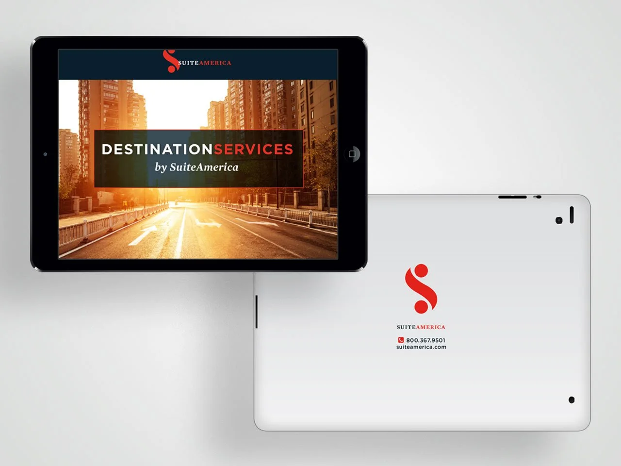 DS-Brochure2.jpg