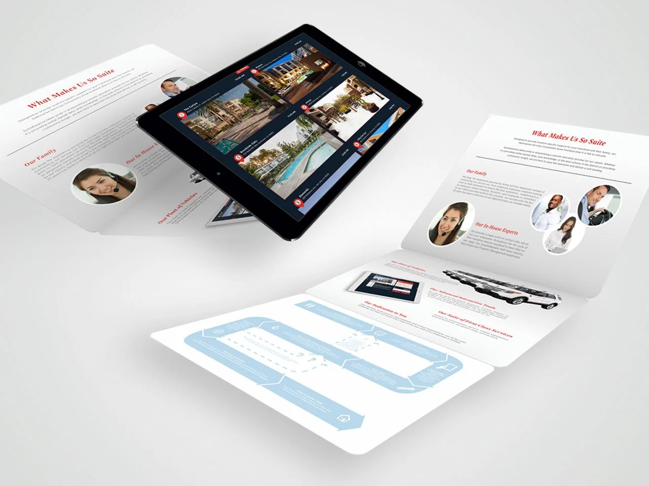 DS-Brochure.jpg