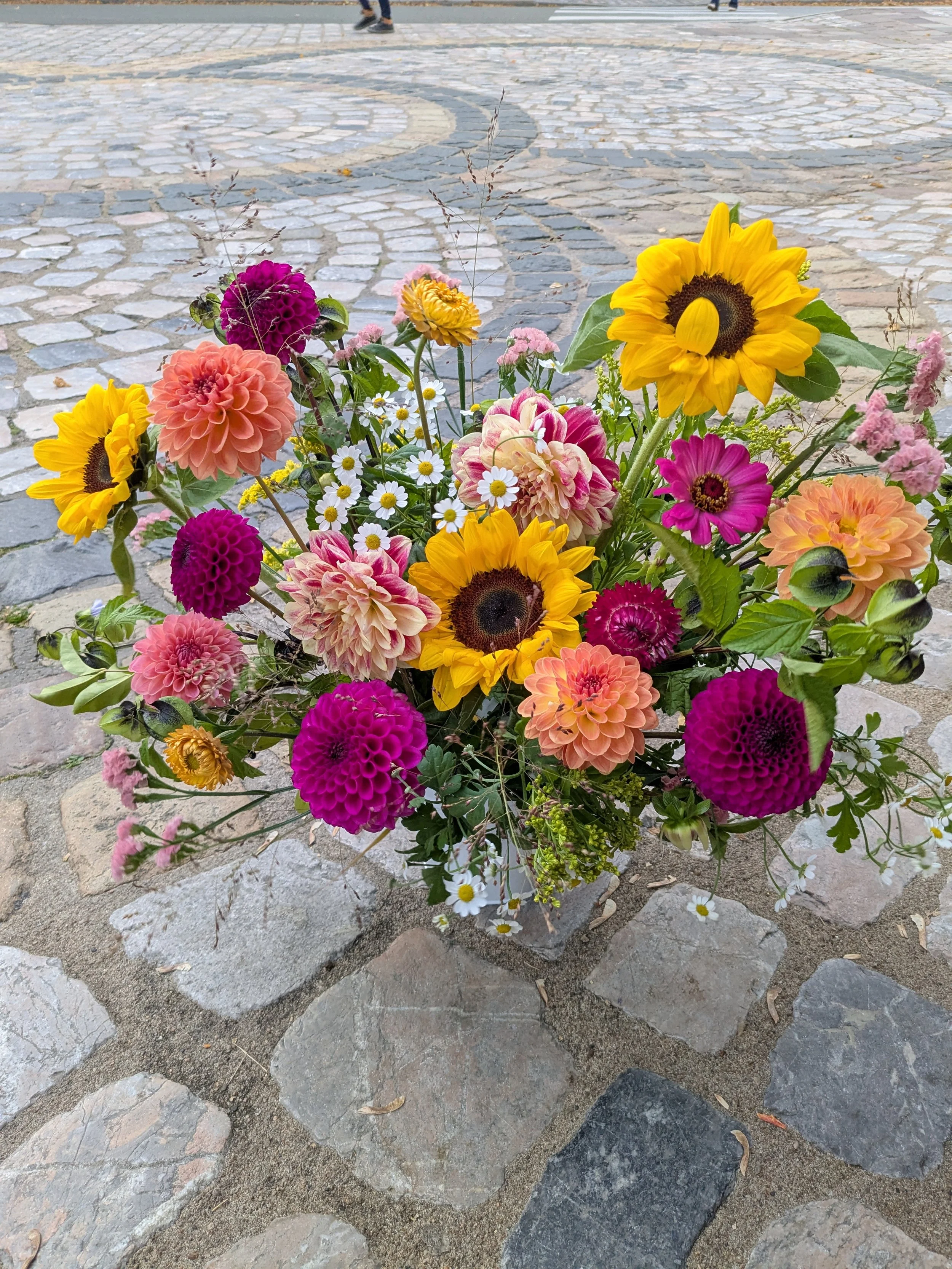 1000041275.jpg