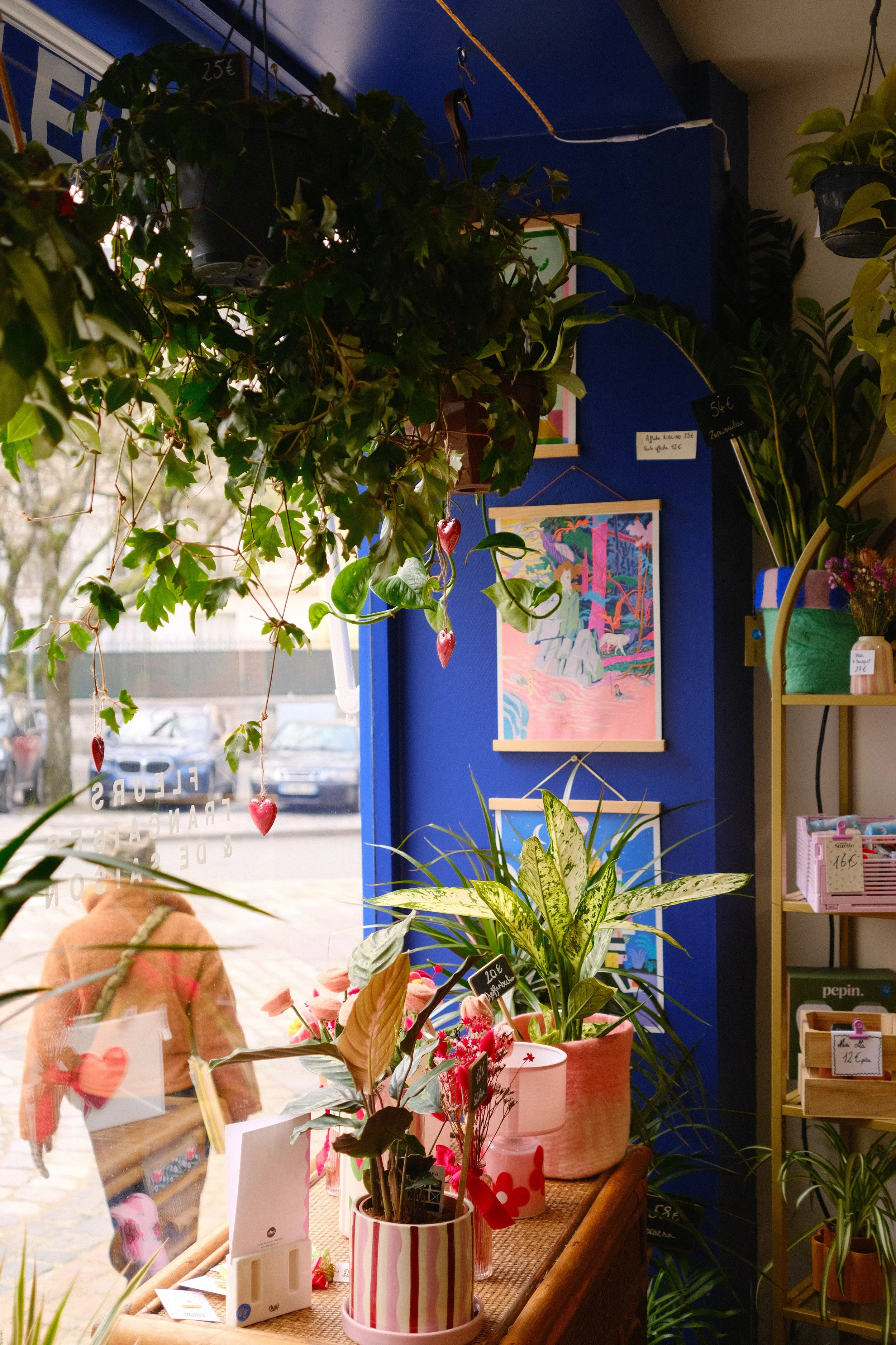 Vitrine d'une boutique de fleurs avec plusieurs plantes en pot, y compris un pothos et des plantes à feuilles vertes, avec des prix affichés. On voit aussi des décorations florales et des clichés colorés au mur.