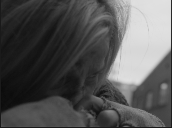 Screen Shot 2024-10-27 at 9.50.09 PM.png