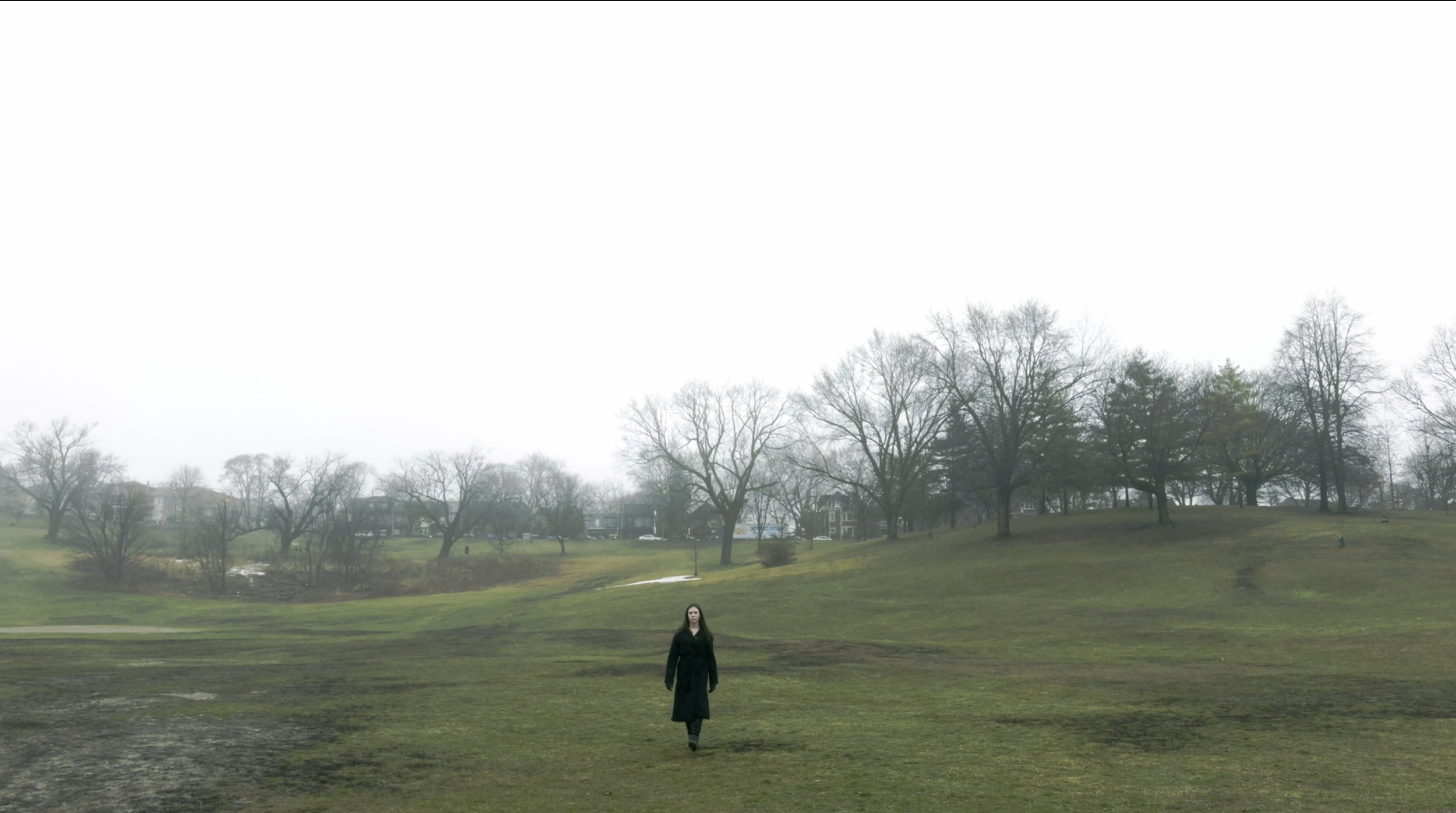 Screen Shot 2024-06-05 at 12.50.01 PM.png