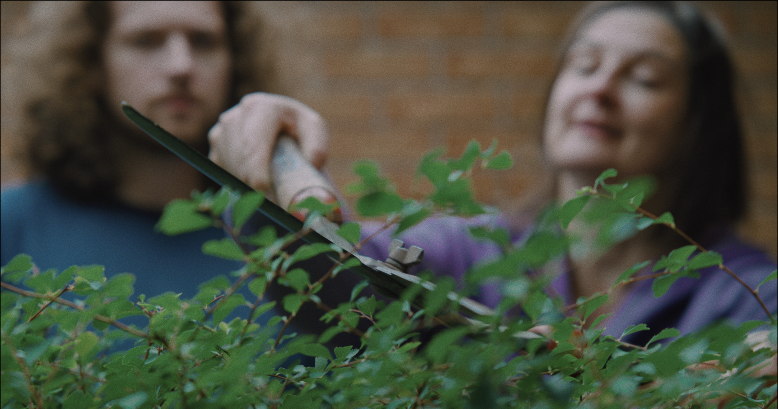 Screen Shot 2024-04-18 at 4.38.19 PM.png